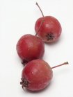 Три червоних крабових яблука — стокове фото