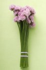 Bund Schnittlauch mit Blumen — Stockfoto