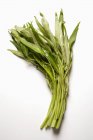 Bunch of Fresh water spinach — Stock Photo