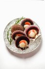 Top view of opened scallops on plate with ice — Stock Photo