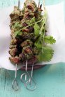 Spicy kebabs with coriander — Stock Photo