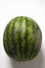 Whole fresh watermelon — Stock Photo
