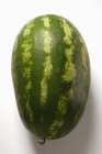 Oval frische Wassermelone — Stockfoto