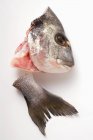 Свіжа морська басова голова і хвіст — стокове фото