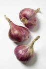Three red onions — Stock Photo