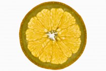 Fatia fresca de laranja — Fotografia de Stock
