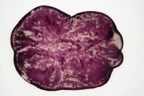 View on slice of truffle potato — Stock Photo