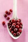 Fresh Cranberries on spoon — Stock Photo