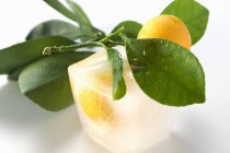 Frozen lemons with leaves — Stock Photo