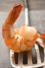Fried peeled Shrimp on spatula — Stock Photo