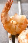 Fried peeled Shrimp on spatula — Stock Photo