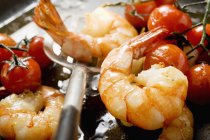 Fried shrimps with cherry tomatoes — Stock Photo