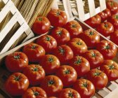 Pomodori con gocce d'acqua — Foto stock