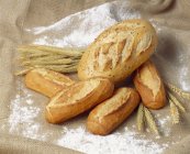 Pane bianco e spighe di cereali — Foto stock