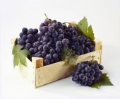 Crate of table grapes — Stock Photo