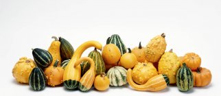 Gourds assortiti su sfondo bianco — Foto stock