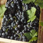 Caja de uvas de mesa - foto de stock