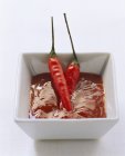 Salsa roja y dos chiles - foto de stock