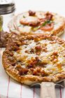 Mini-Pizza mit Hackfleisch — Stockfoto
