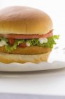 Hamburger di pollo con pomodoro — Foto stock
