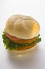 Doppio hamburger di pollo — Foto stock