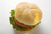 Chicken burger with tomato and lettuce — Stock Photo