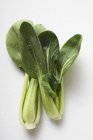 Pak choi with drops of water — Stock Photo