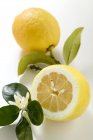 Limones frescos y maduros - foto de stock