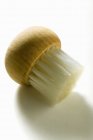 Closeup view of one small brush on white surface — Stock Photo