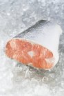 Piece of raw uncooked salmon — Stock Photo