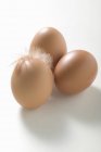 Три коричневих яйця з пір'ям — стокове фото
