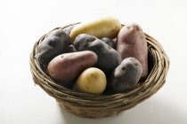 Verschiedene Kartoffelsorten — Stockfoto