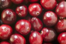 Fresh ripe Cranberries — Stock Photo