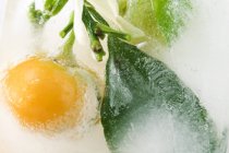 Frozen citrus fruit with leaves — Stock Photo