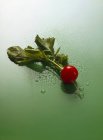Radish with drops of water — Stock Photo