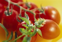 Tomates ciruela con ramitas de hierbas - foto de stock