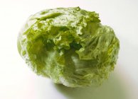 Fresh Iceberg Lettuce — Stock Photo