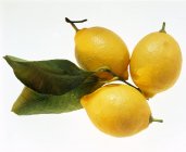 Tres limones y hojas de limón - foto de stock