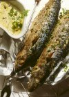 Ganze gegrillte Makrelen mit Kräutern — Stockfoto