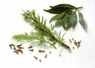 Fresh Herbs and Spices — Stock Photo