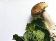 Cep and Savoy Cabbage — Stock Photo