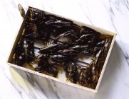 Top view of plywood box with alive freshwater crayfish — Stock Photo