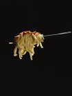 Spaghetti con salsa di pomodoro — Foto stock