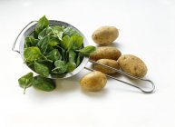 Espinacas y patatas crudas - foto de stock