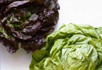Roter und grüner Salat — Stockfoto