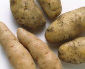 Tipos variados de patatas crudas - foto de stock