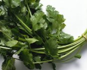 Manojo de cilantro fresco - foto de stock