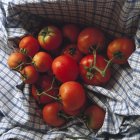 Tomates frescos de cosecha propia - foto de stock