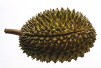 Fruta duriana fresca - foto de stock