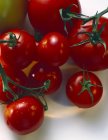Cherry Tomatoes on Vine — Stock Photo